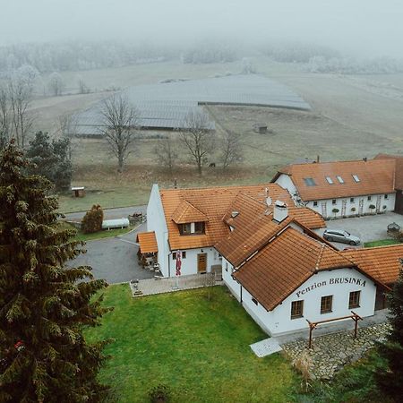 Penzion Brusinka Kocourov  Esterno foto