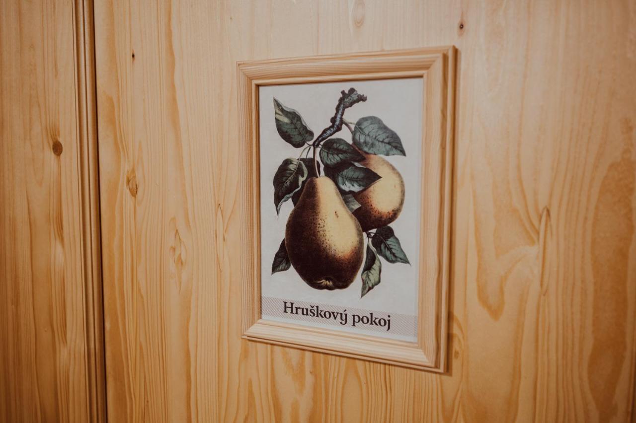 Penzion Brusinka Kocourov  Esterno foto